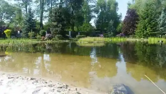 maudyklų tvenkinių projektavimas, statyba - Dekoratyviniai tvenkiniai