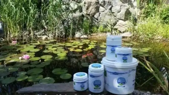 maudyklų tvenkinių projektavimas, statyba - Pasirengimas tvenkiniams