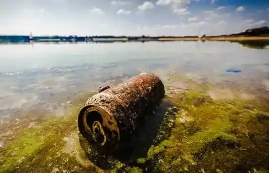 Maudymosi tvenkinių projektavimas statyba - vandens atstatymas