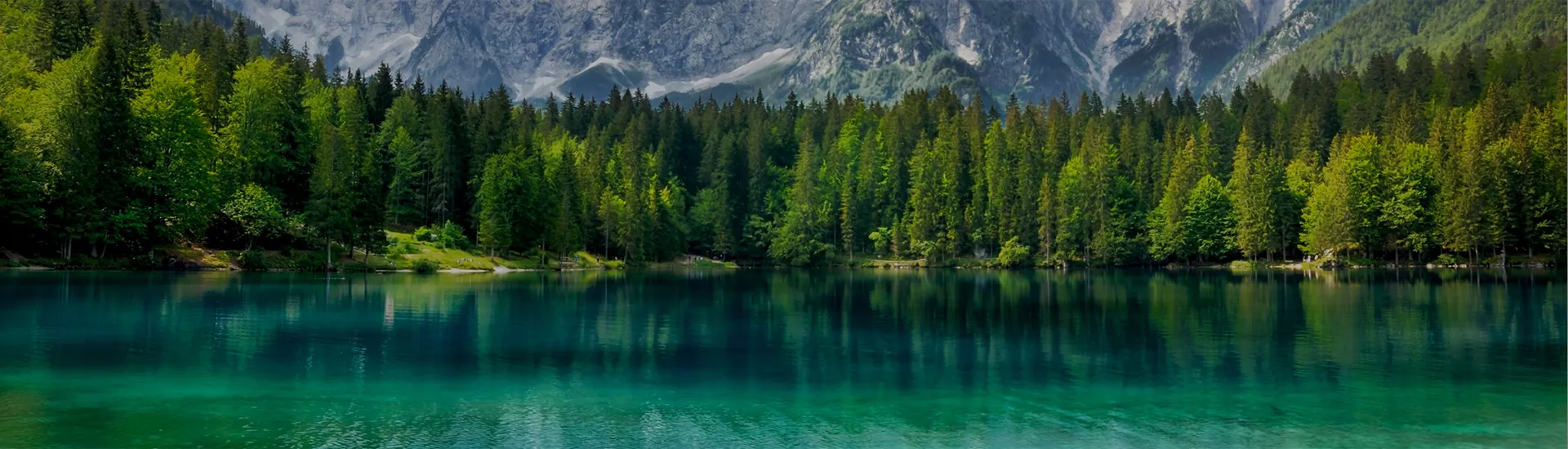 Maudymosi tvenkinių dizainas - skaidrė 03