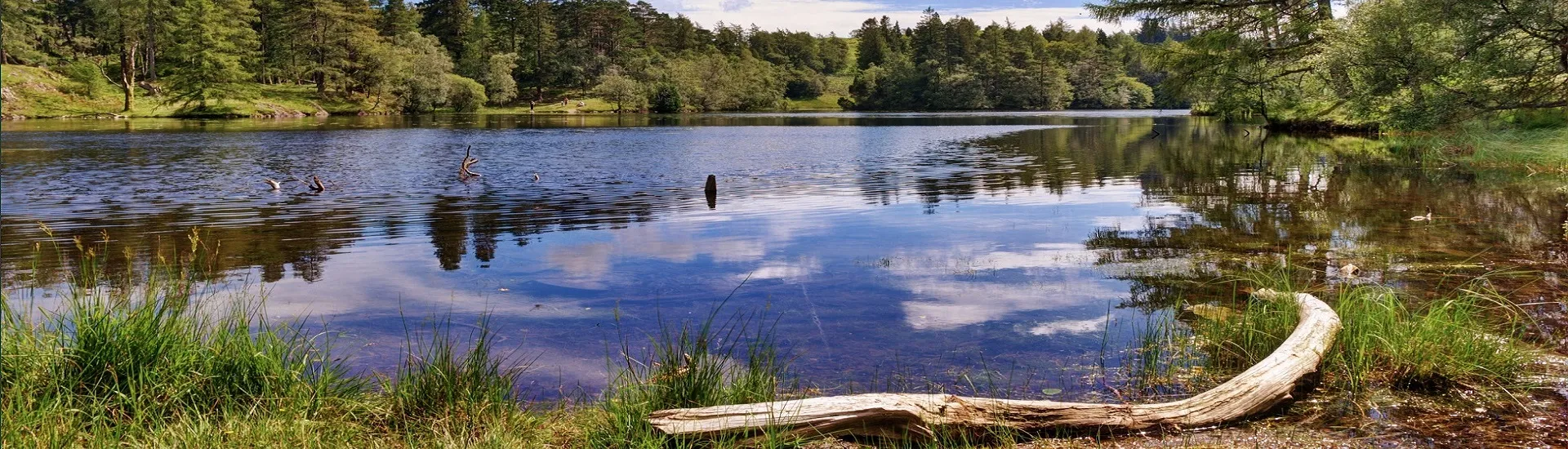 Maudymosi tvenkinių projektavimas, konstrukcija - čiuožykla 02